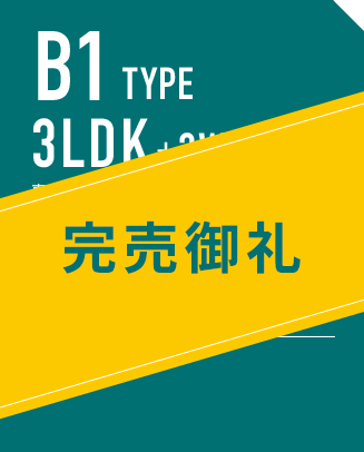 B1 TYPE