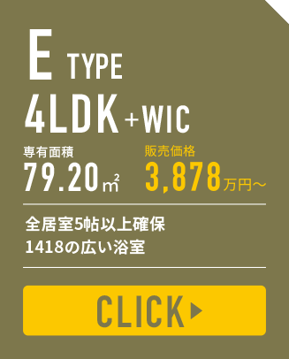 type e