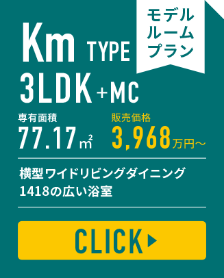 Km TYPE