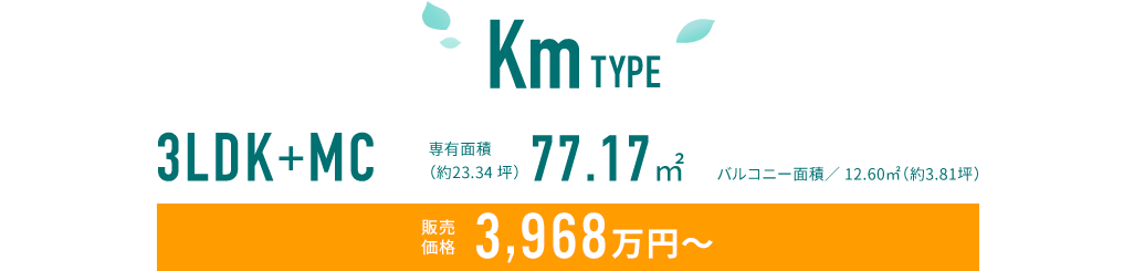 KM TYPE