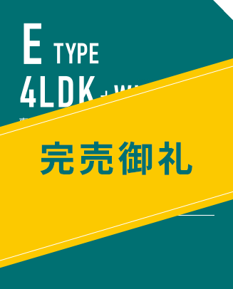 E TYPE