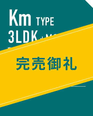 Km TYPE