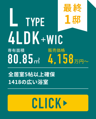 L TYPE