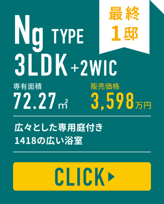 Ng TYPE