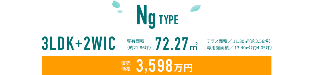 Ng TYPE